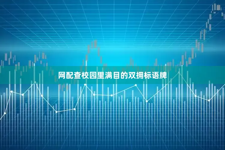 网配查校园里满目的双拥标语牌