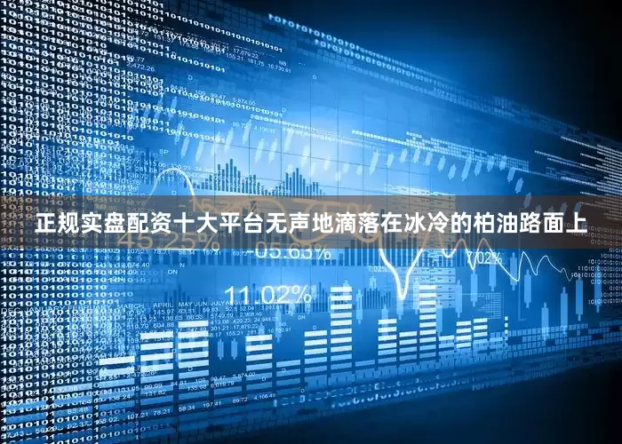 正规实盘配资十大平台无声地滴落在冰冷的柏油路面上