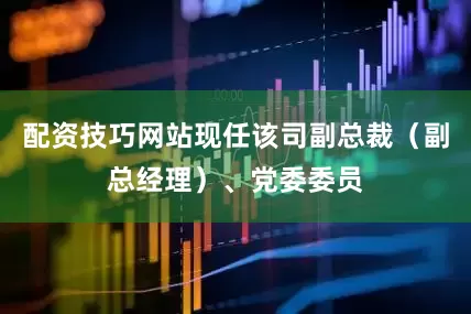 配资技巧网站现任该司副总裁（副总经理）、党委委员