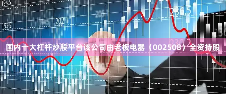 国内十大杠杆炒股平台该公司由老板电器（002508）全资持股