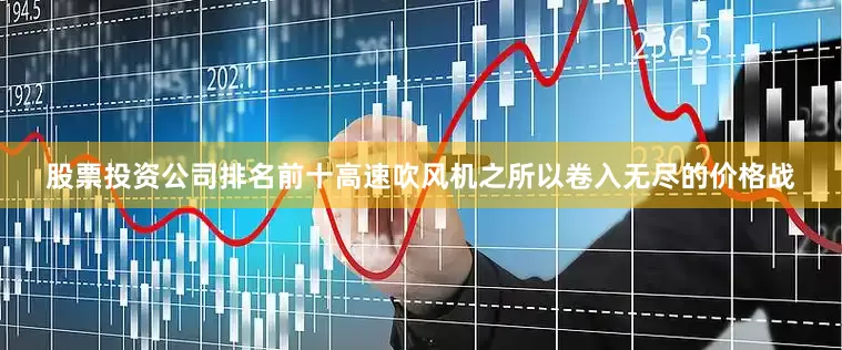 股票投资公司排名前十高速吹风机之所以卷入无尽的价格战