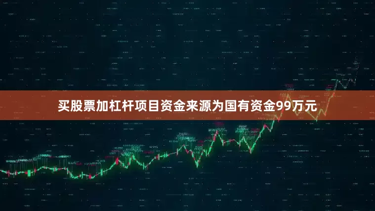 买股票加杠杆项目资金来源为国有资金99万元