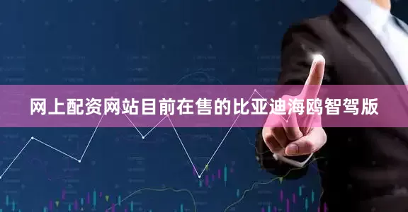 网上配资网站目前在售的比亚迪海鸥智驾版