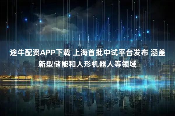 途牛配资APP下载 上海首批中试平台发布 涵盖新型储能和人形机器人等领域
