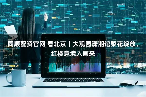 同顺配资官网 看北京｜大观园潇湘馆梨花绽放，红楼意境入画来