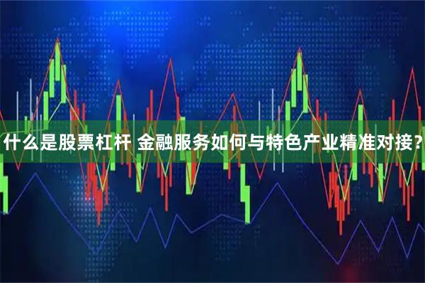 什么是股票杠杆 金融服务如何与特色产业精准对接？